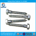 Best Price Stock ASME/ANSI B 18.2.1 Hex Lag Screws/Wood Screws